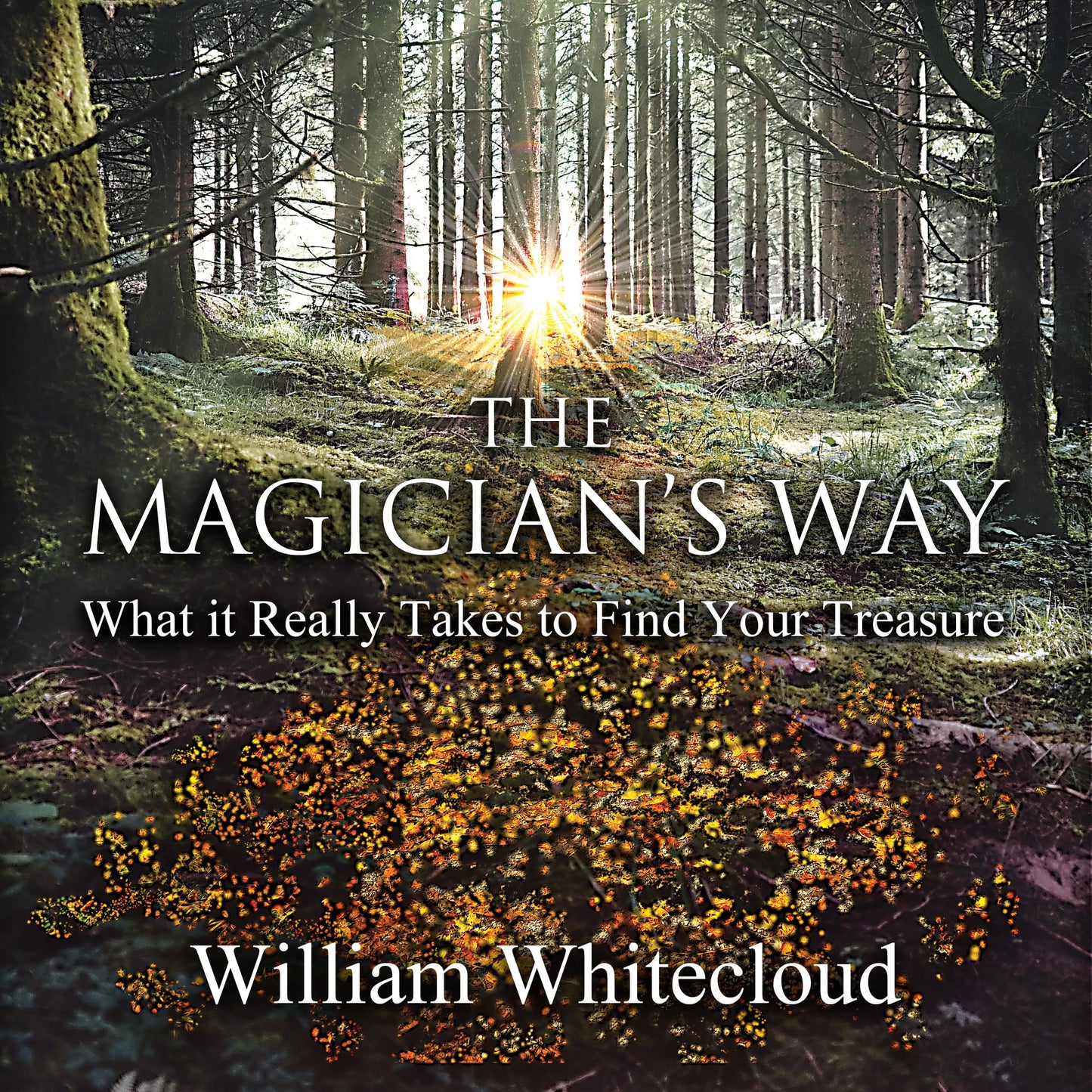 MAGICIAN'S WAY, THE: What It Really Takes to Find Your Treasure