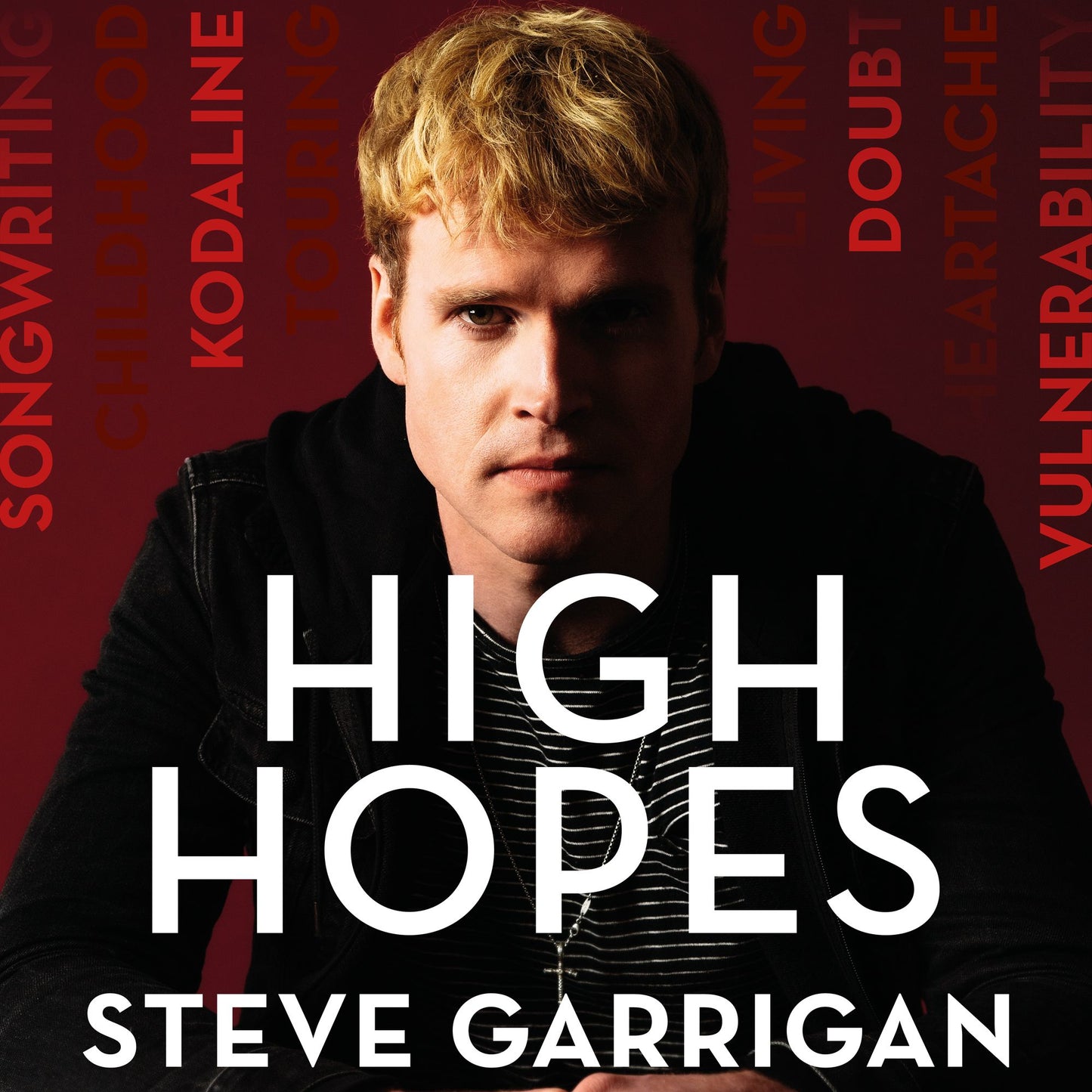 High Hopes: Making Music, Losing My Way, Learning to Live