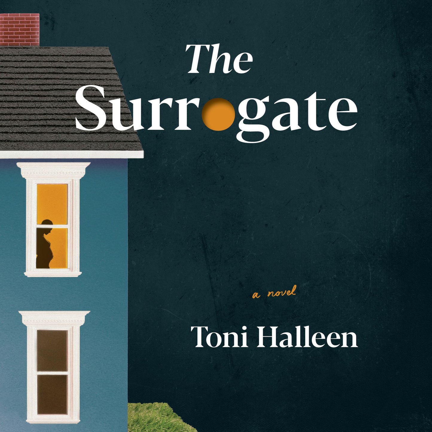 The Surrogate : A Novel