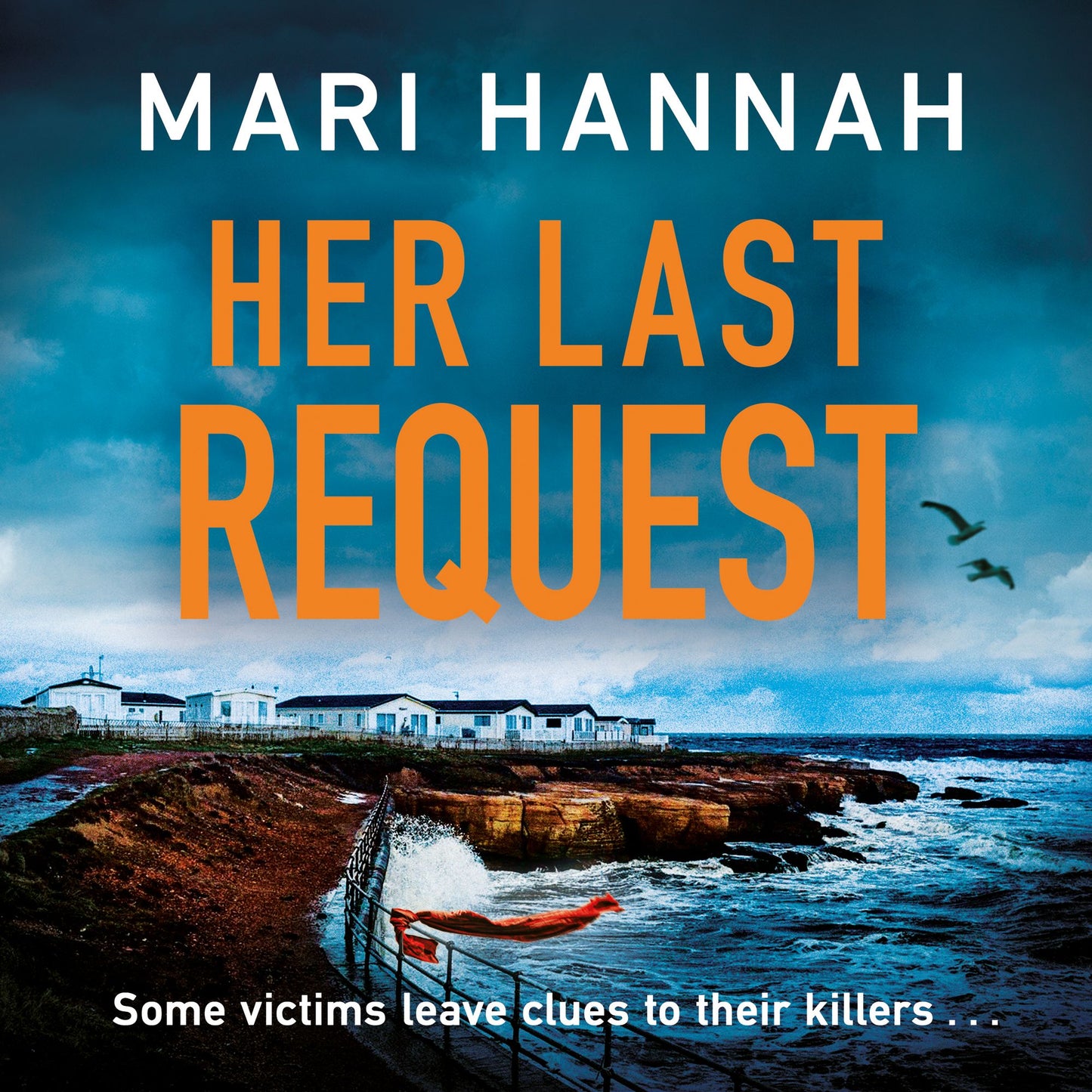 Her Last Request : A Kate Daniels thriller and the follow up to Capital Crime's Crime Book of the Year, Without a Trace