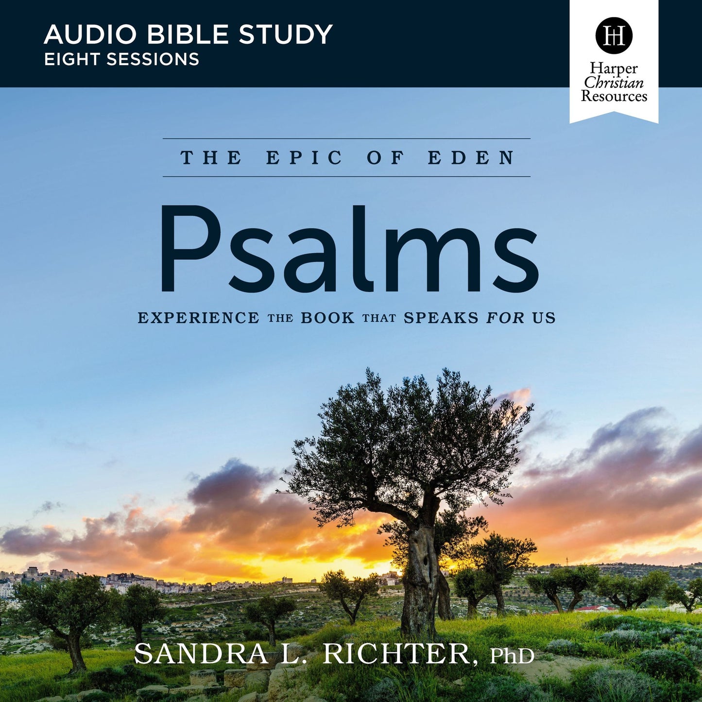 Book of Psalms: Audio Bible Studies: An Ancient Challenge to Get Serious About Your Prayer and Worship