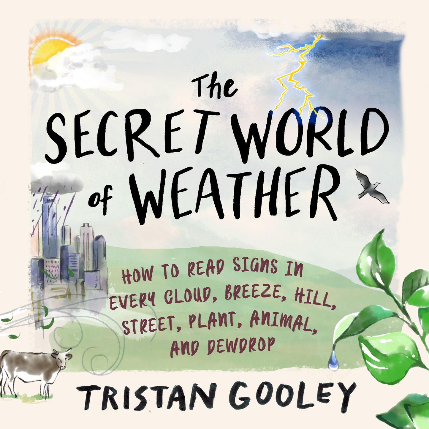 The Secret World of Weather : How to Read Signs in Every Cloud, Breeze, Hill, Street, Plant, Animal, and Dewdrop