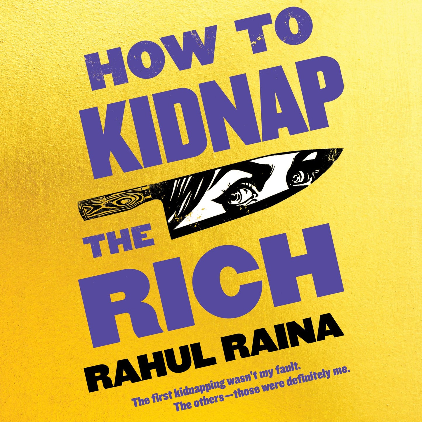 How to Kidnap the Rich: A Novel