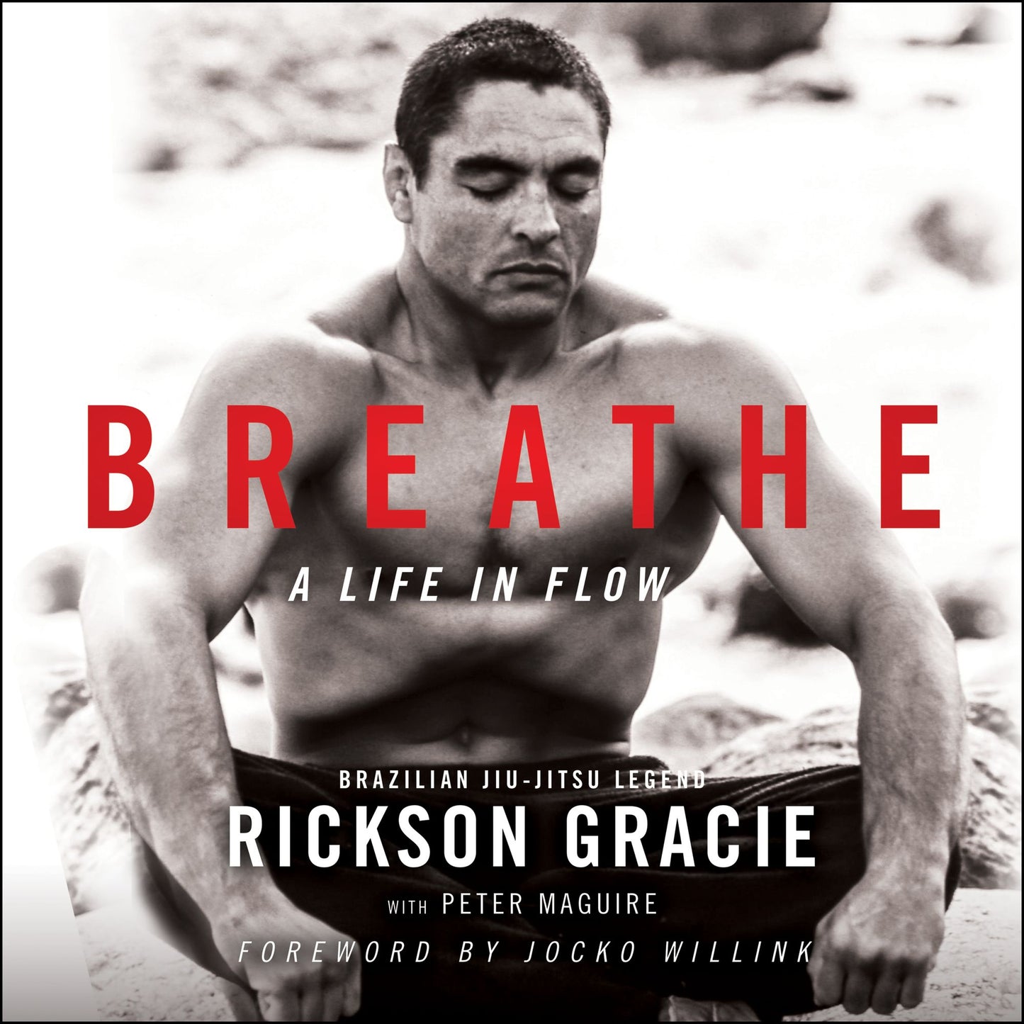 Breathe : A Life in Flow