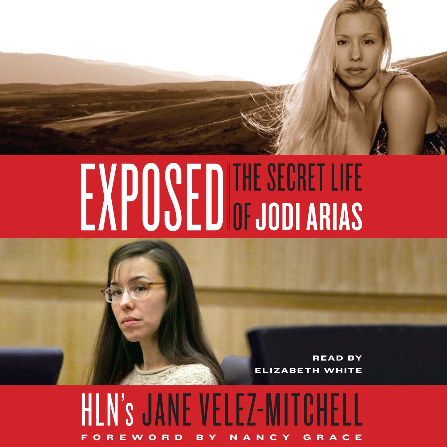 The Better Liar : A Novel