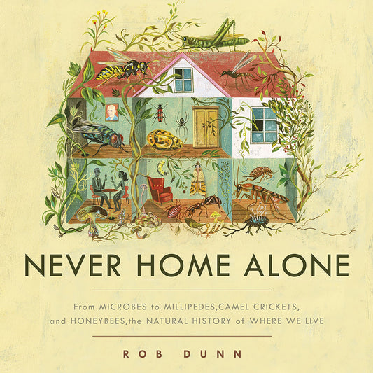 There Was an Old Woman Who Lived in a Book