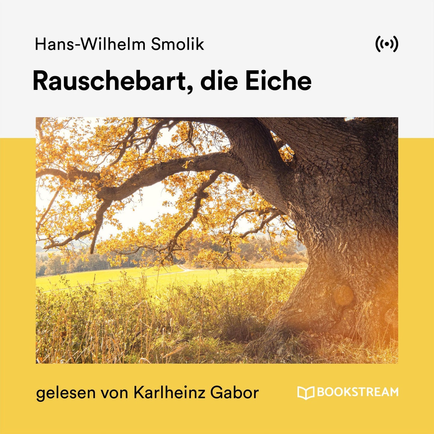 Als unsere Herzen fliegen lernten: Roman