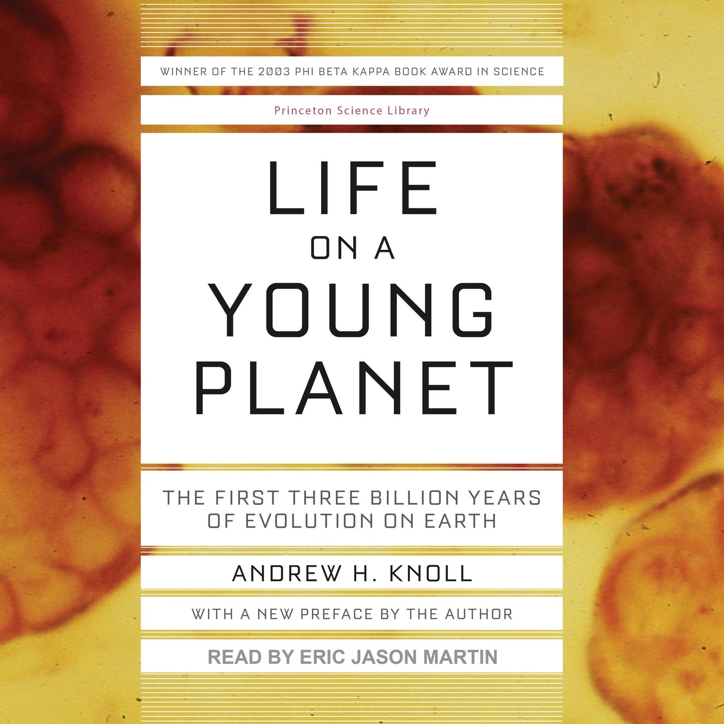 Rikki-Tikki-Tavi