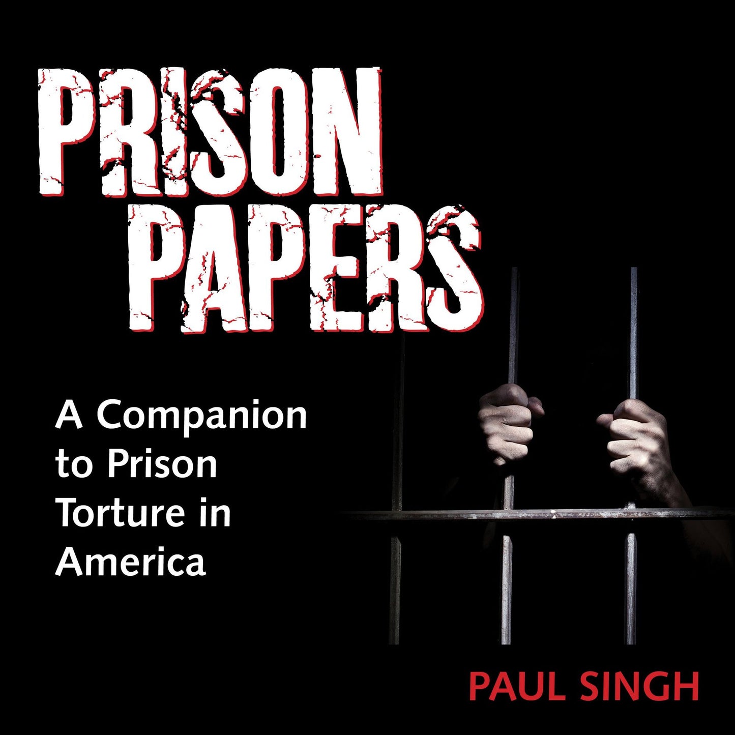 Prison Papers: A Companion to "Prison Torture in America"