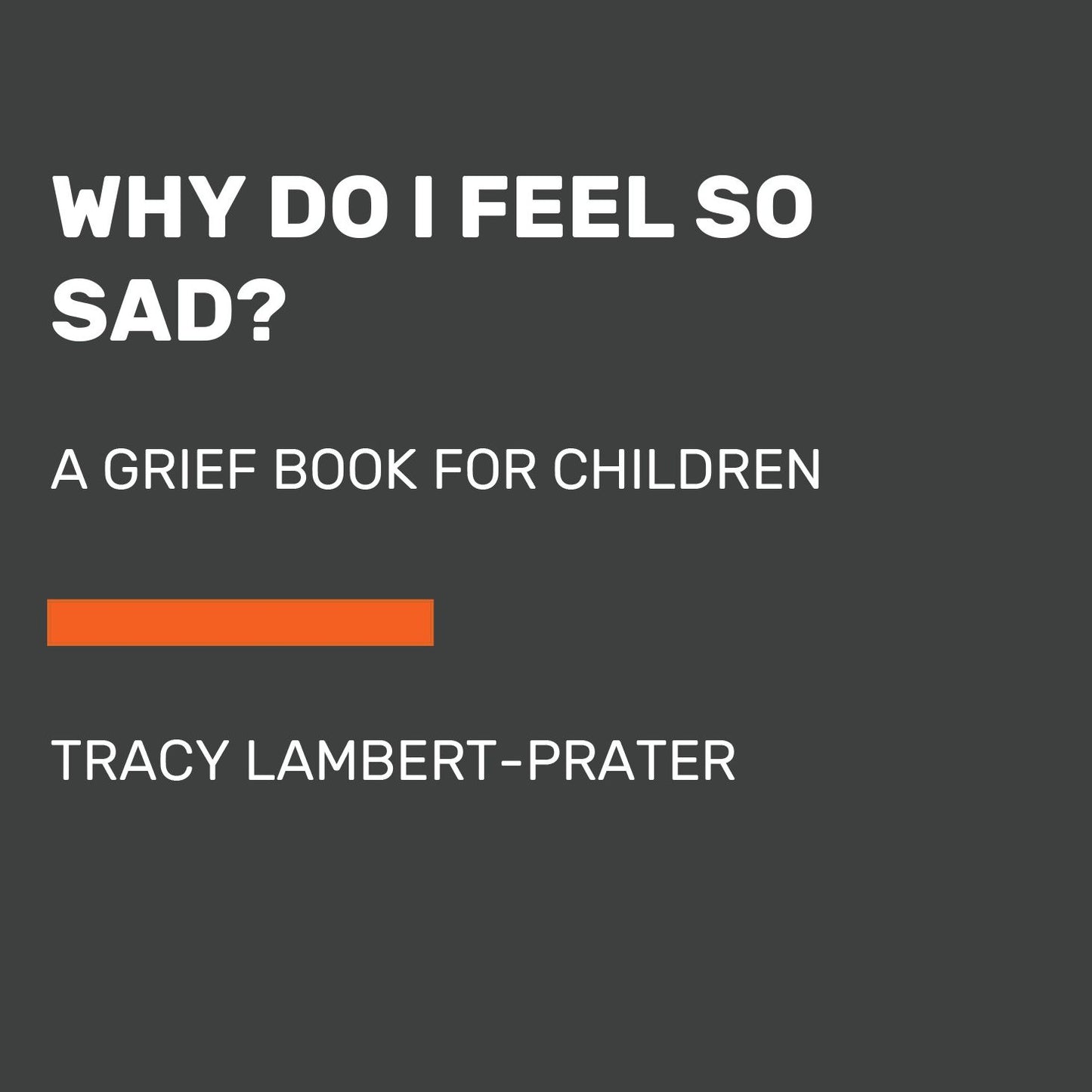 Why Do I Feel So Sad?: A Grief Book for Children