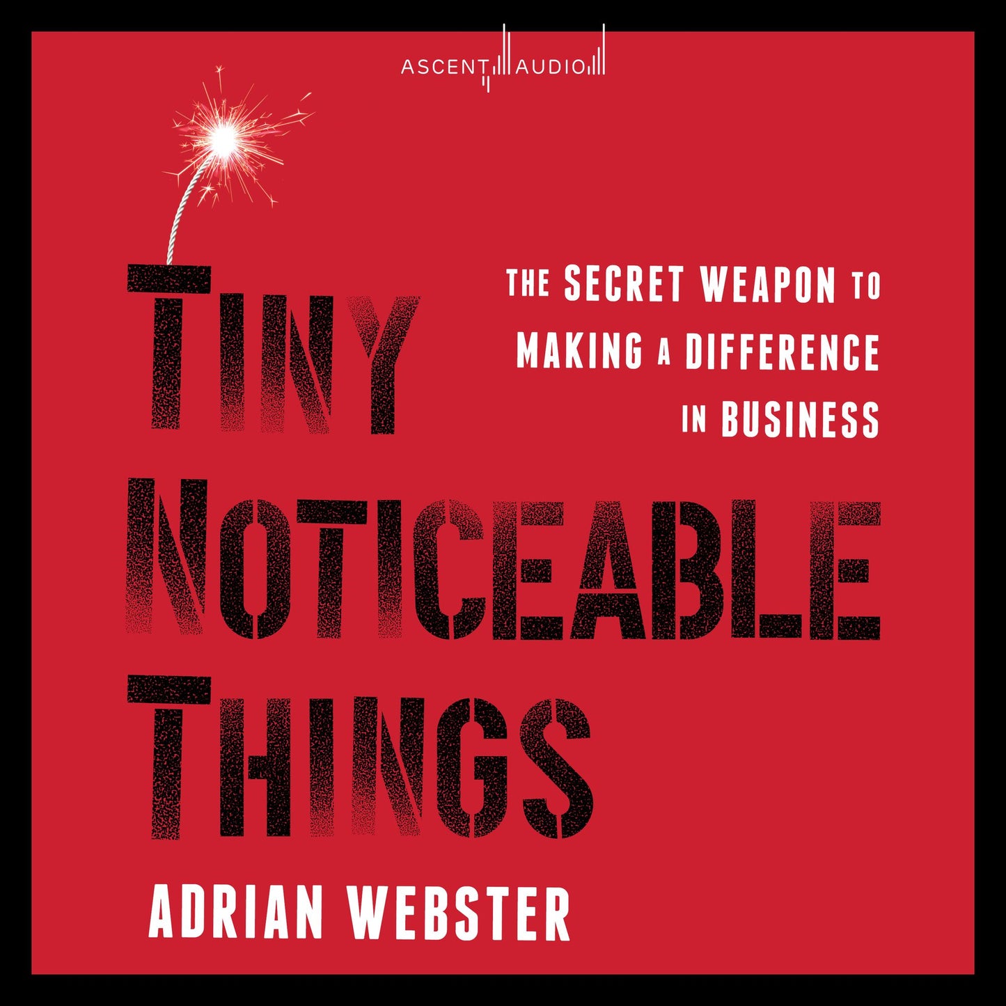 Tiny Noticeable Things: The Secret Weapon to Making a Difference in Business