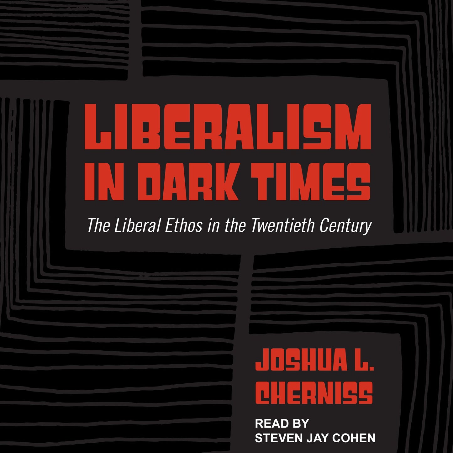 Liberalism in Dark Times : The Liberal Ethos in the Twentieth Century