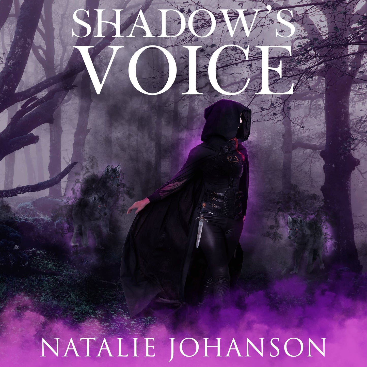 Shadow's Voice