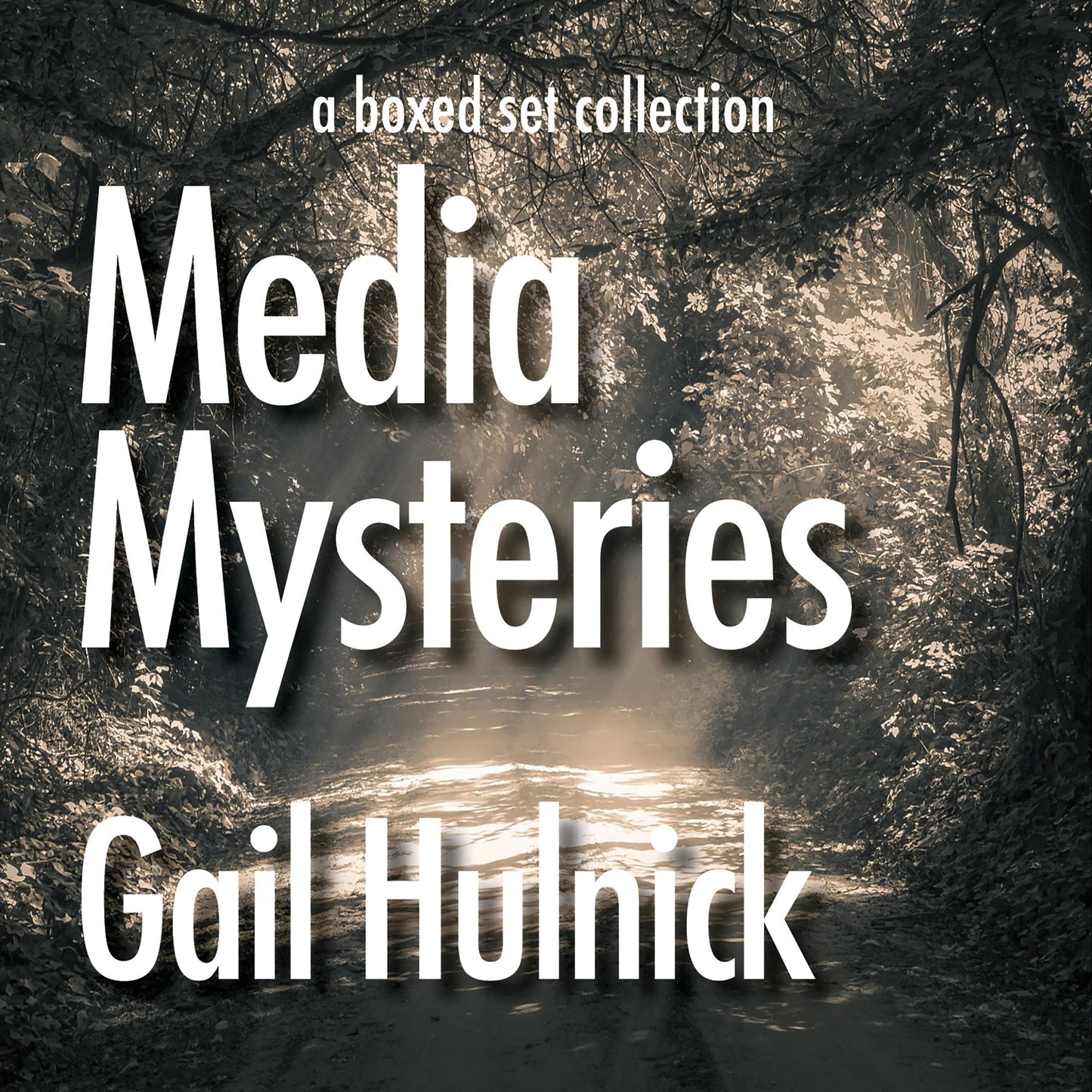 Media Mysteries: A Boxed Set Collection