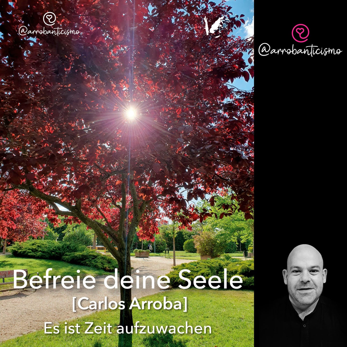Befreie deine Seele: Es ist zeit aufzuwachen