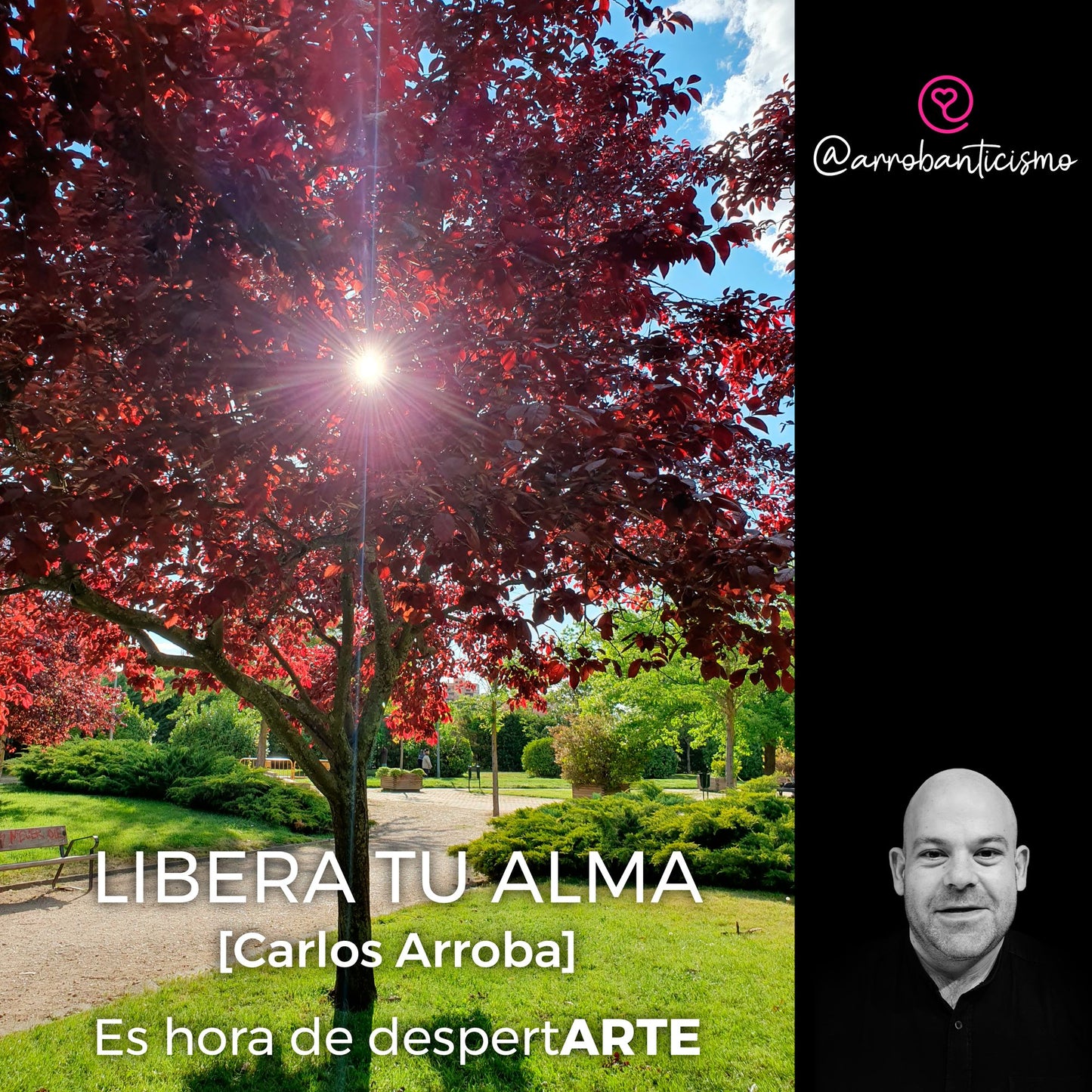 Libera tu alma: es hora de despertARTE