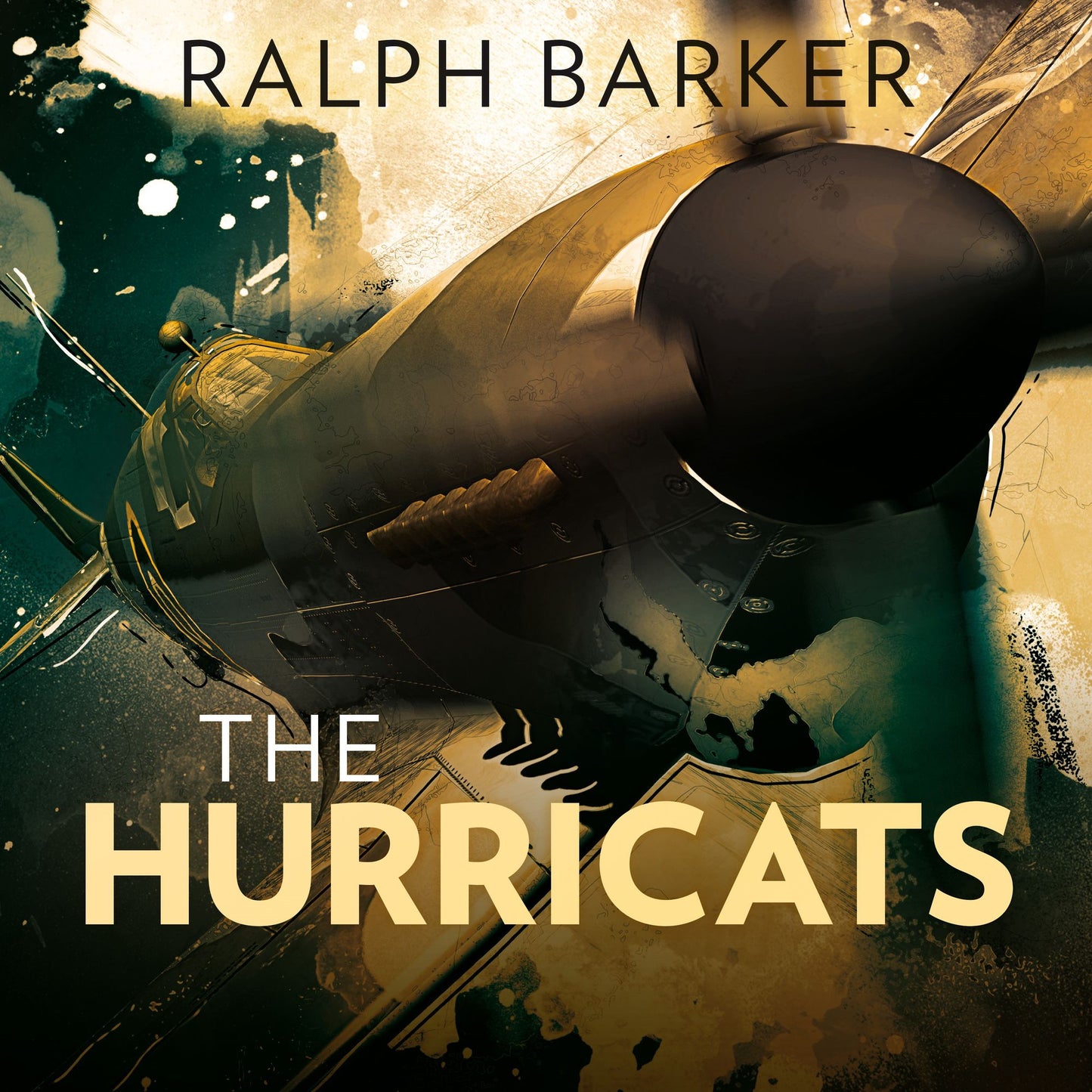The Hurricats: The Incredible True Story of Britain's 'Kamikaze' Pilots of World War Tw