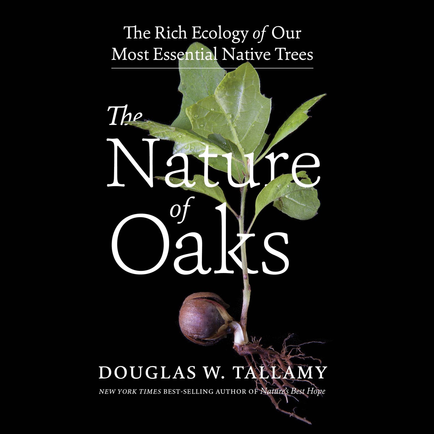 The Nature of Oaks : The Rich Ecology of Our Most Essential Native Trees