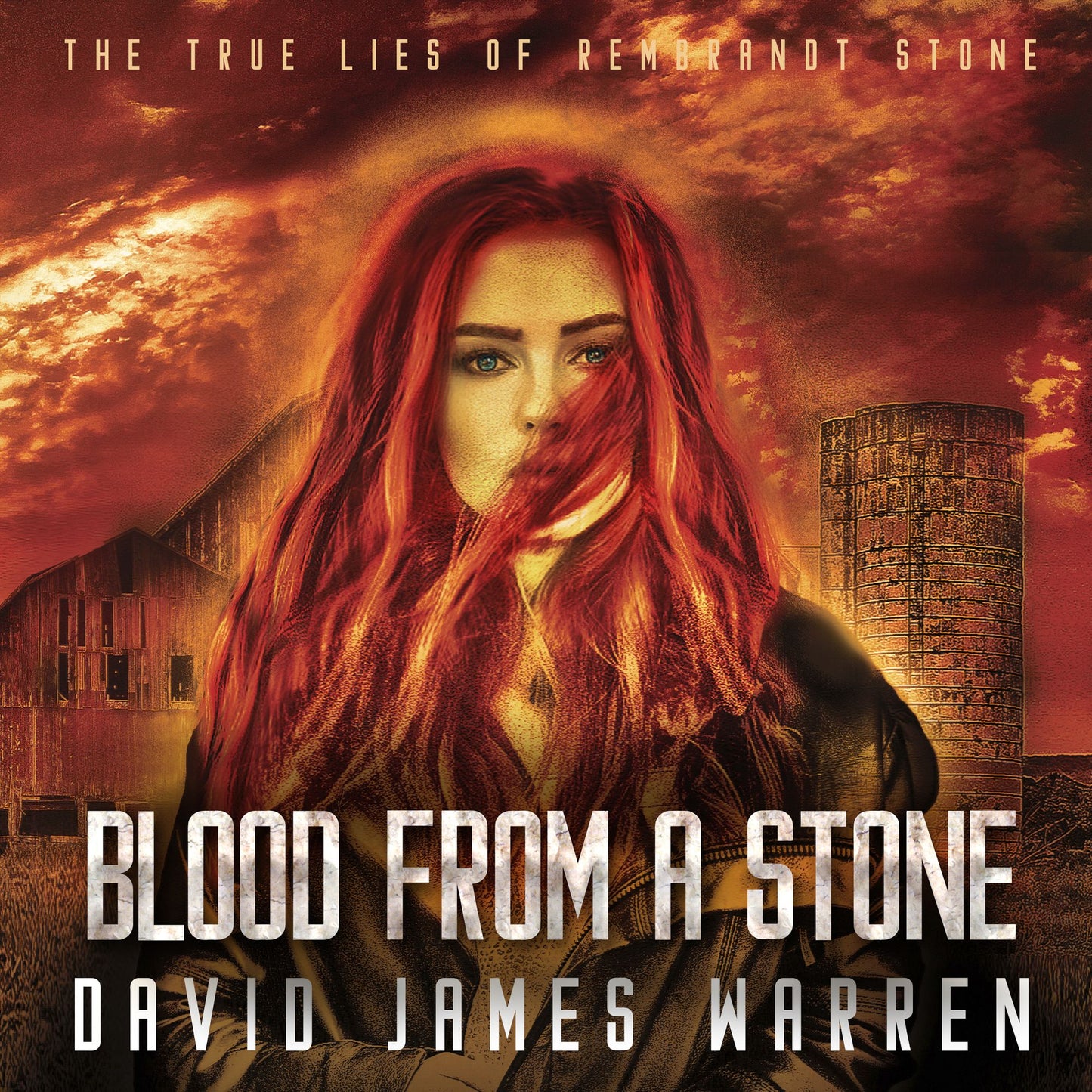 Blood from a Stone : A time-travel thriller