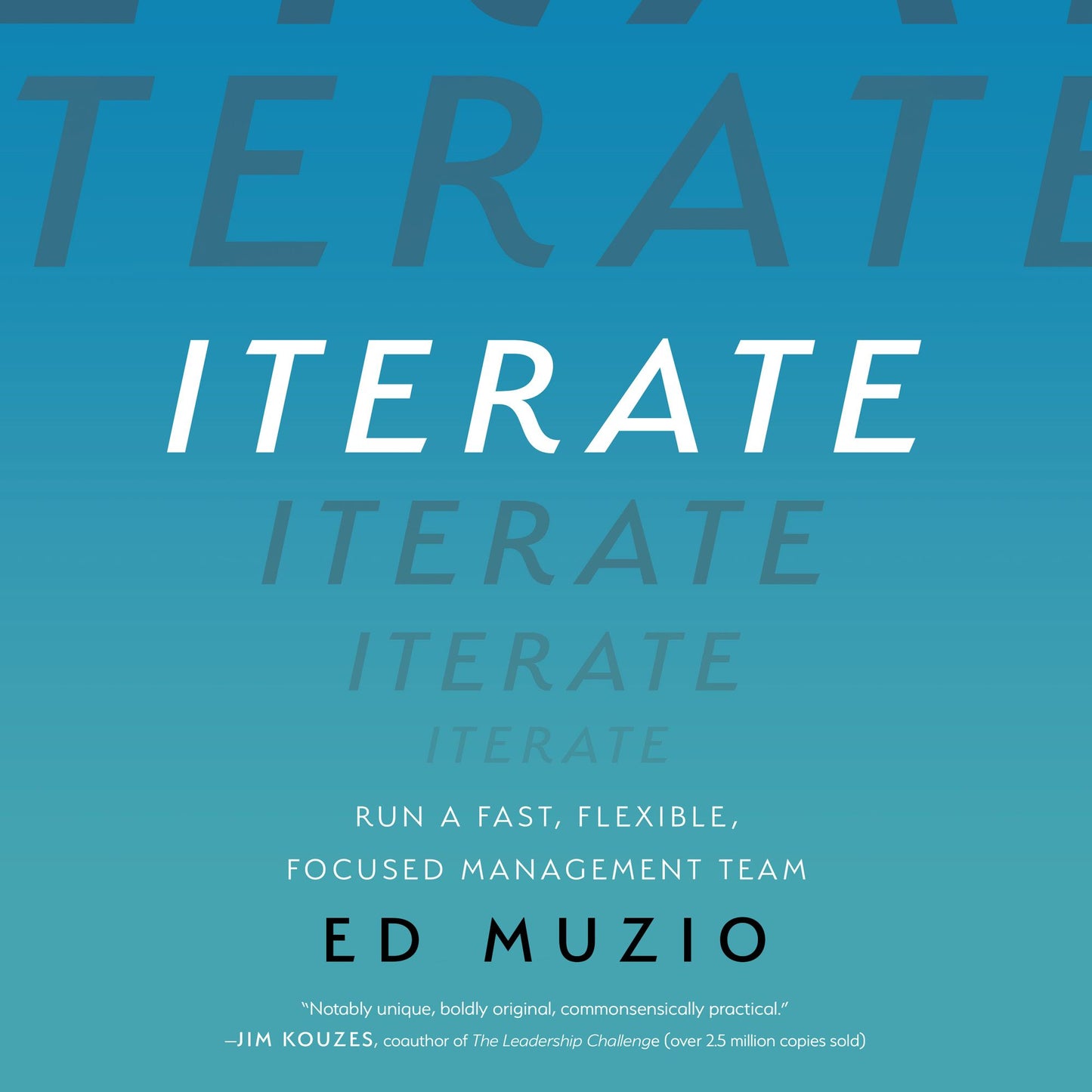 Iterate : Run a Fast, Flexible, Focused Management Team
