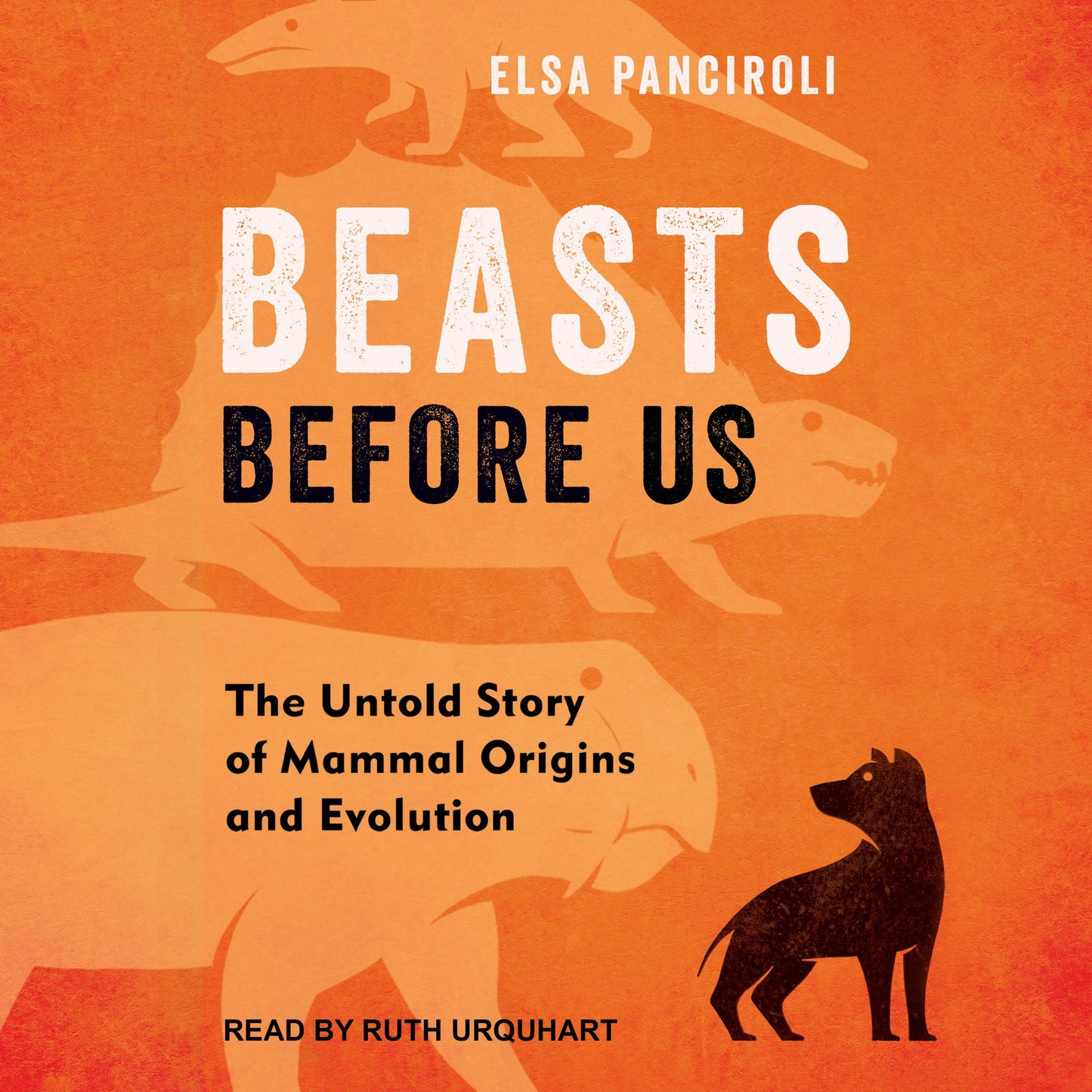 Beasts Before Us: The Untold Story of Mammal Origins and Evolution