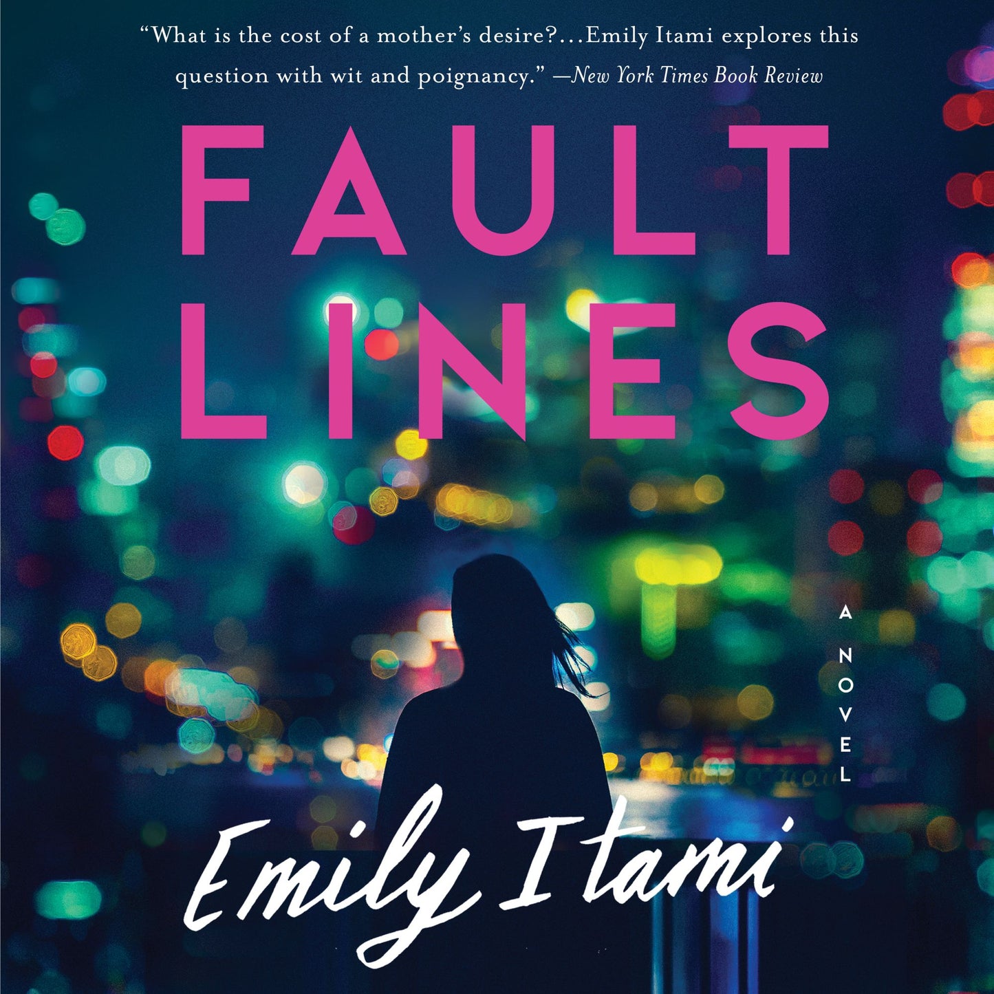 Fault Lines : A Novel