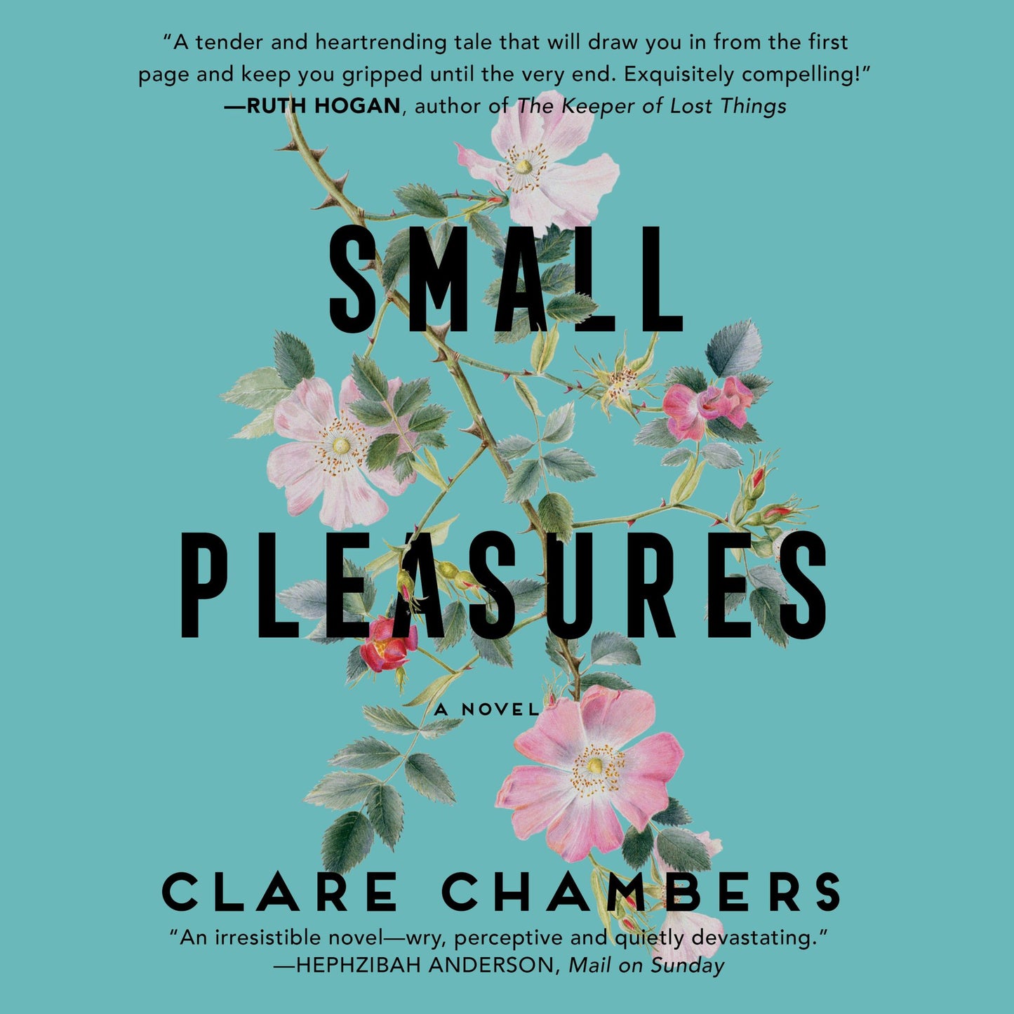 Small Pleasures : A Novel