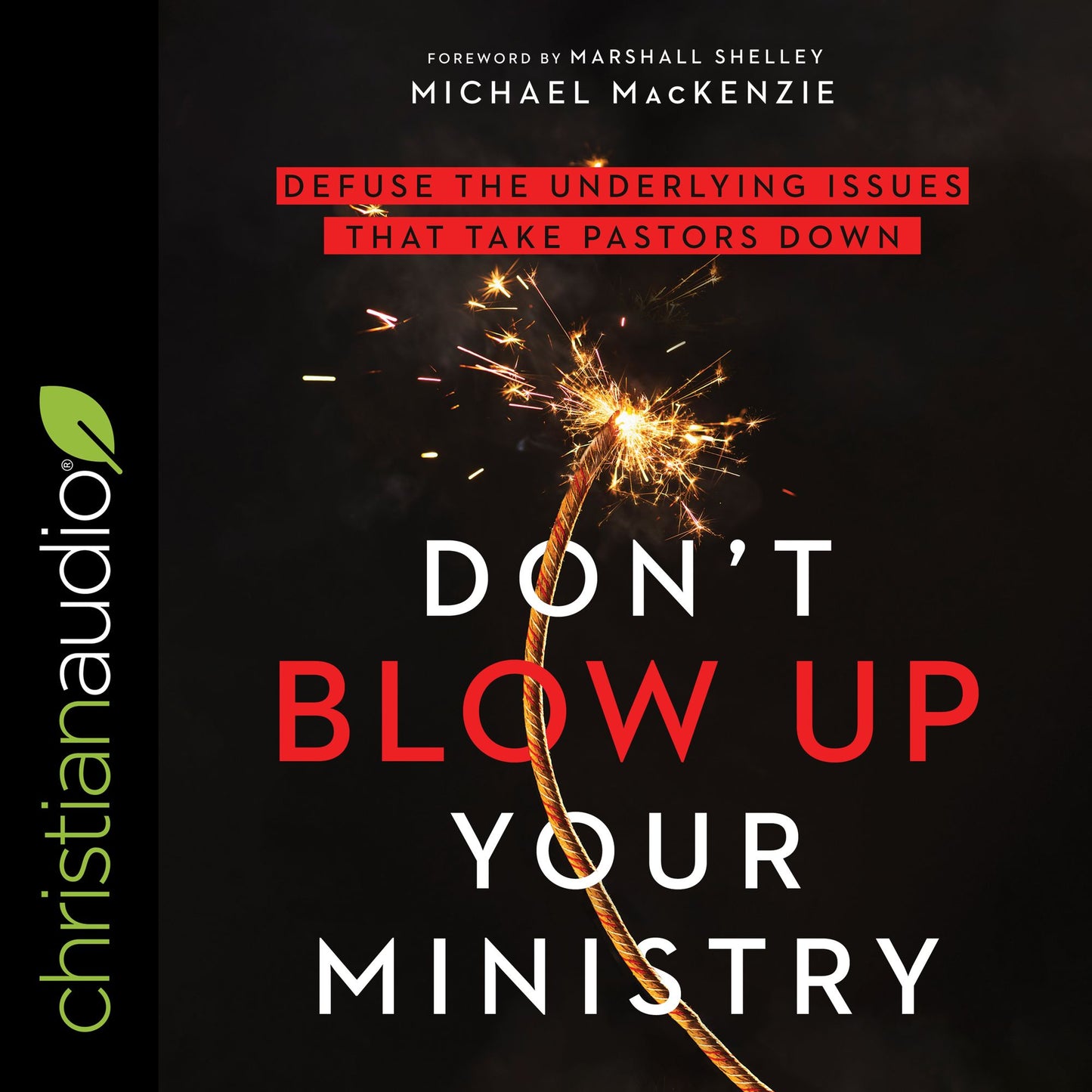 Don't Blow Up Your Ministry: Defuse the Underlying Issues That Take Pastors Down