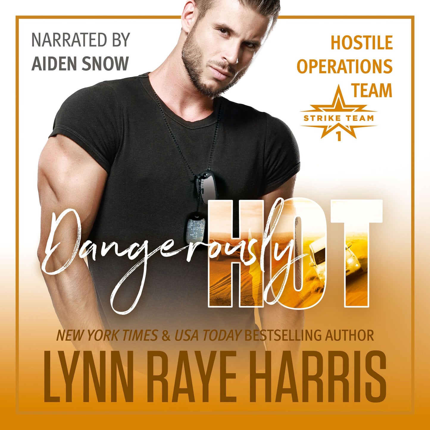 Dangerously HOT: A Military Romantic Suspense Novel