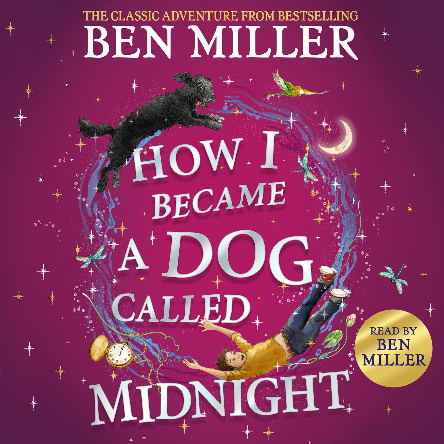 How I Became a Dog Called Midnight: The brand new magical adventure
