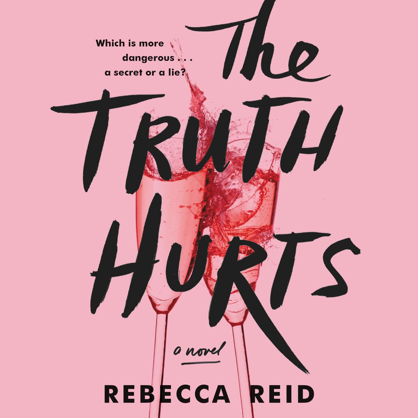 The Truth Hurts: A Novel