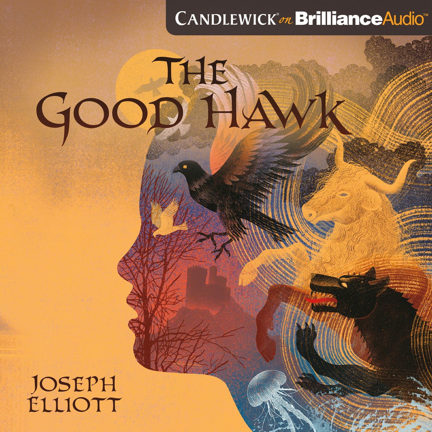 The Good Hawk
