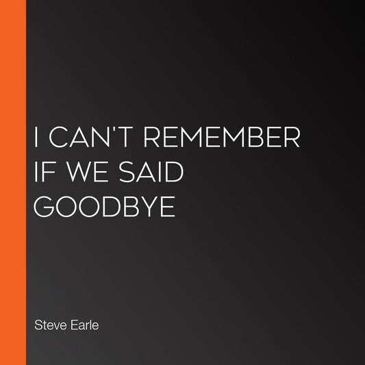 I Can't Remember If We Said Goodbye
