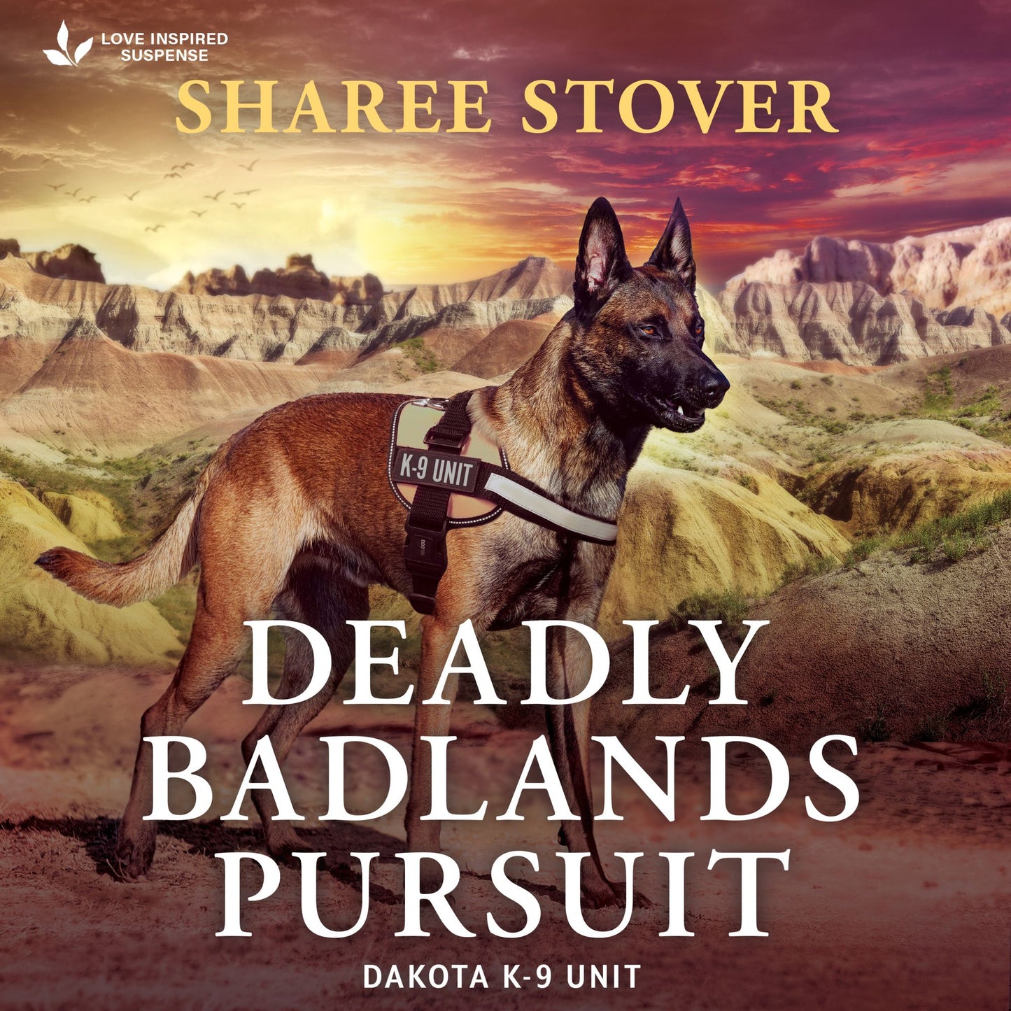 Deadly Badlands Pursuit