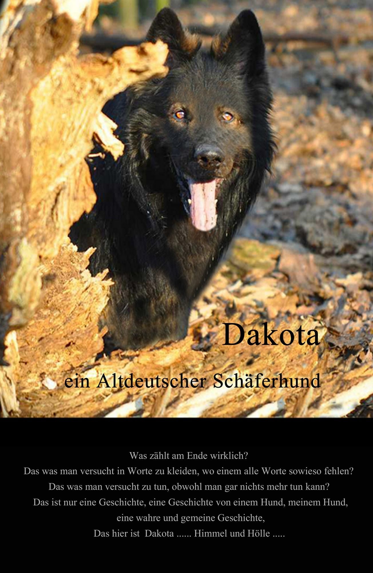 Dakota: ein altdeutscher Schäferhund