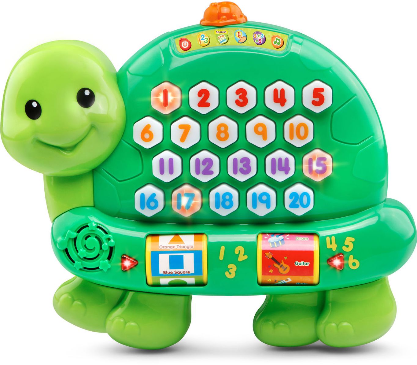 Count and Learn Turtle