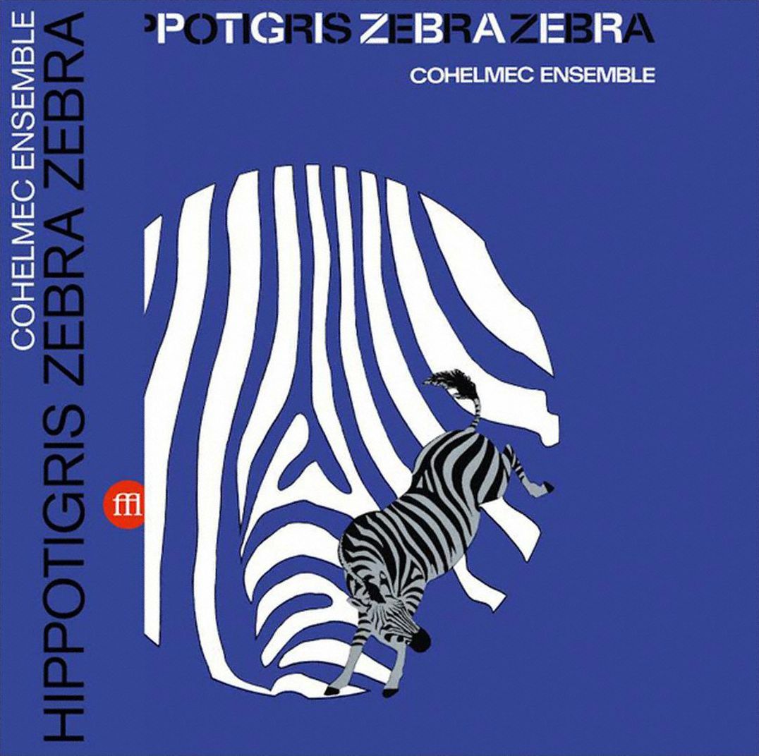 Hippotigris Zebra Zebra
