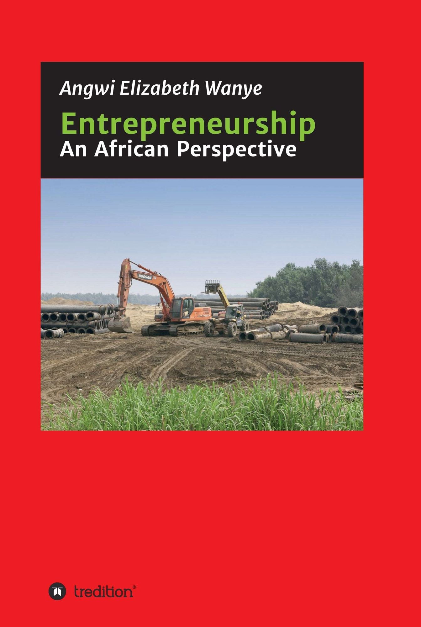 Entrepreneurship: An African Perspective