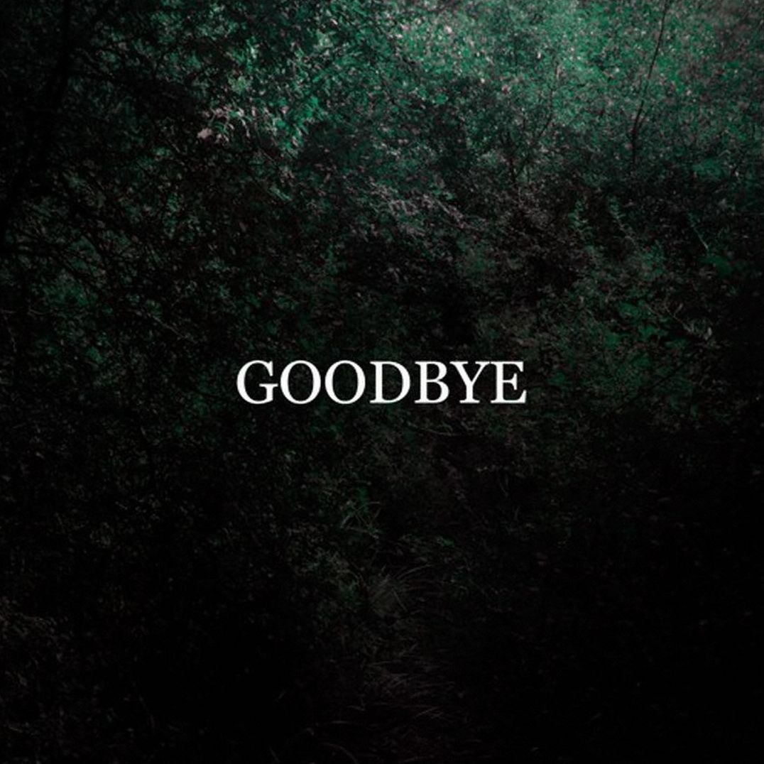 Goodbye