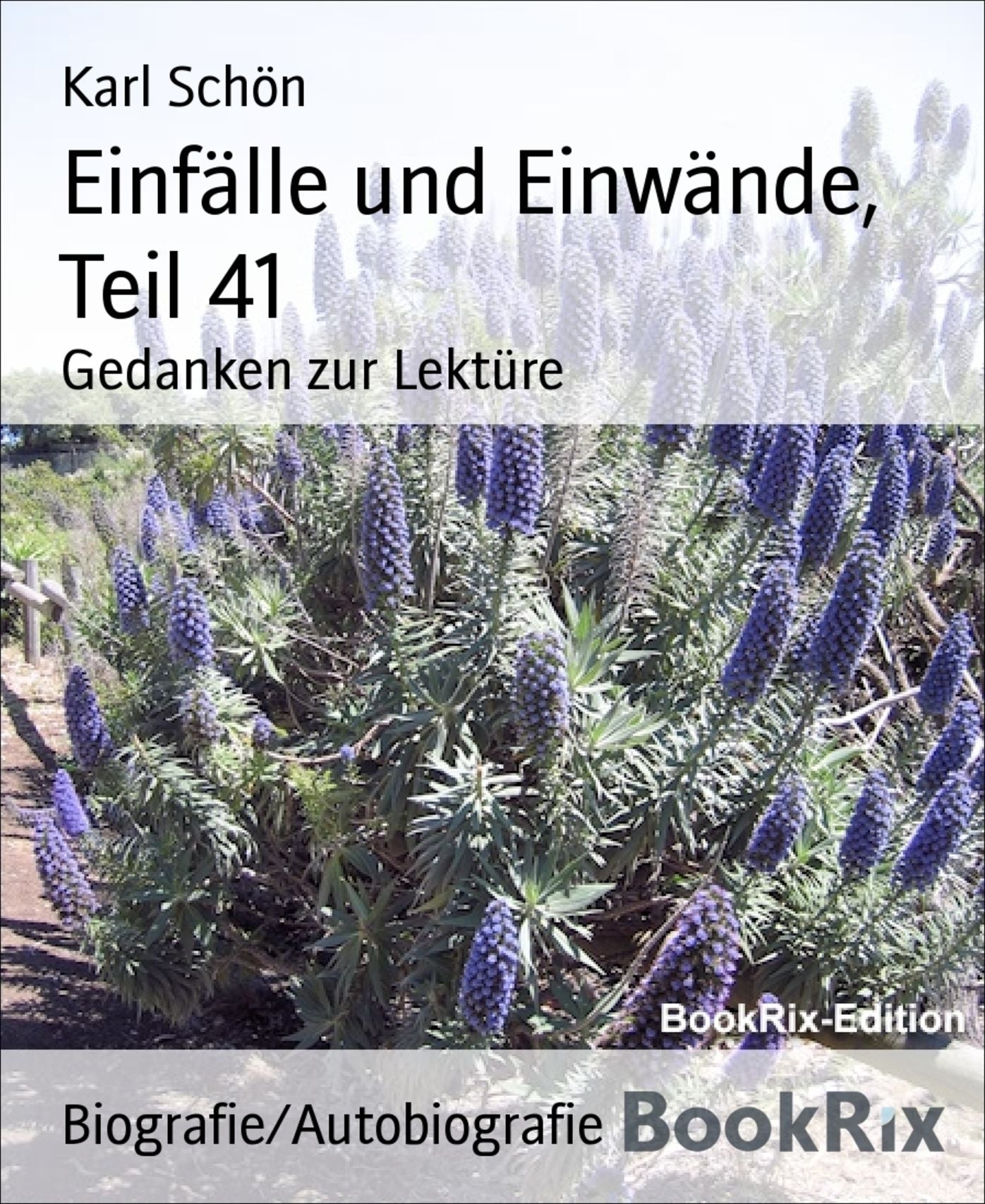 Einfälle und Einwände, Teil 41: Gedanken zur Lektüre