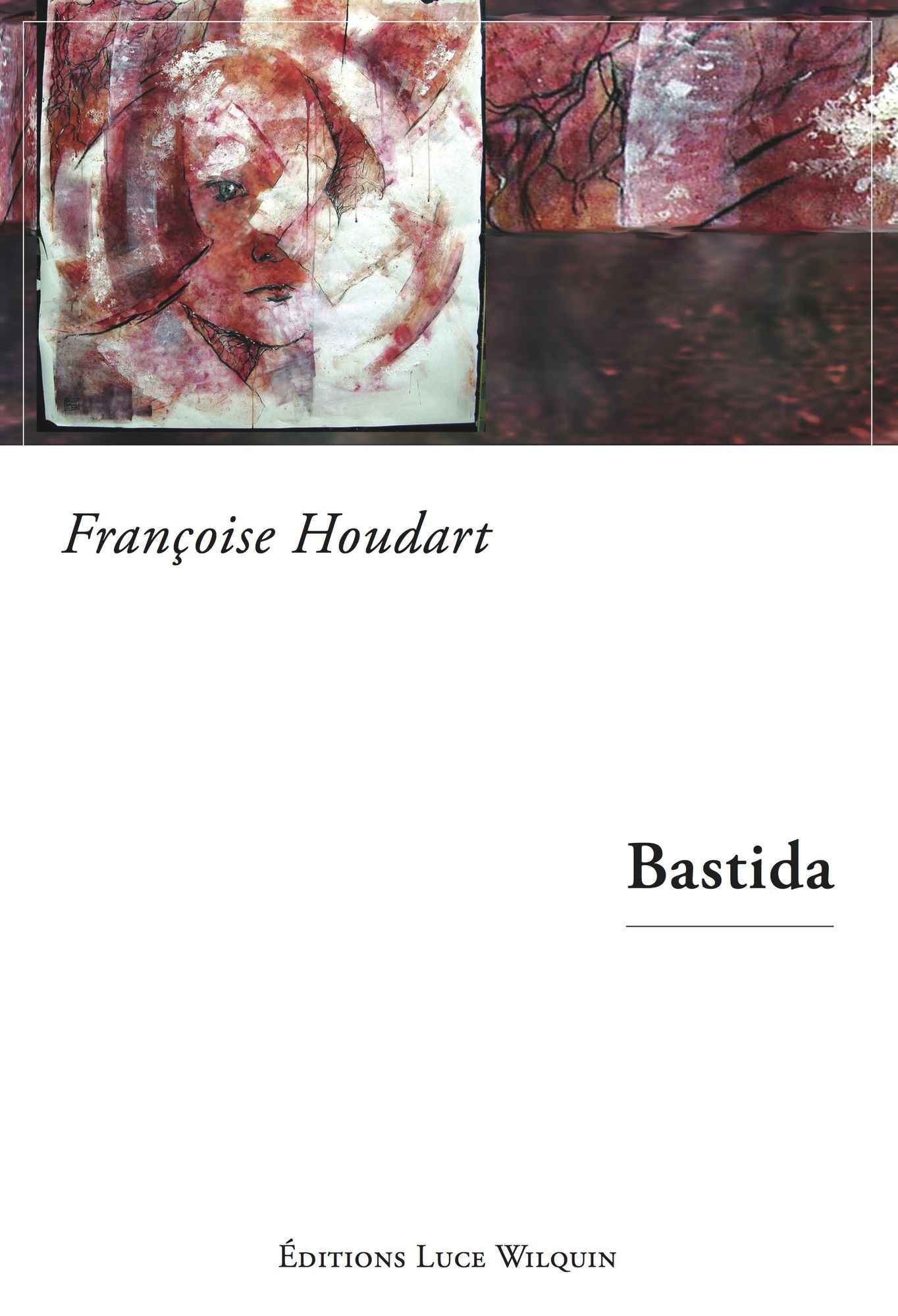 Bastida: Un roman déstabilisant