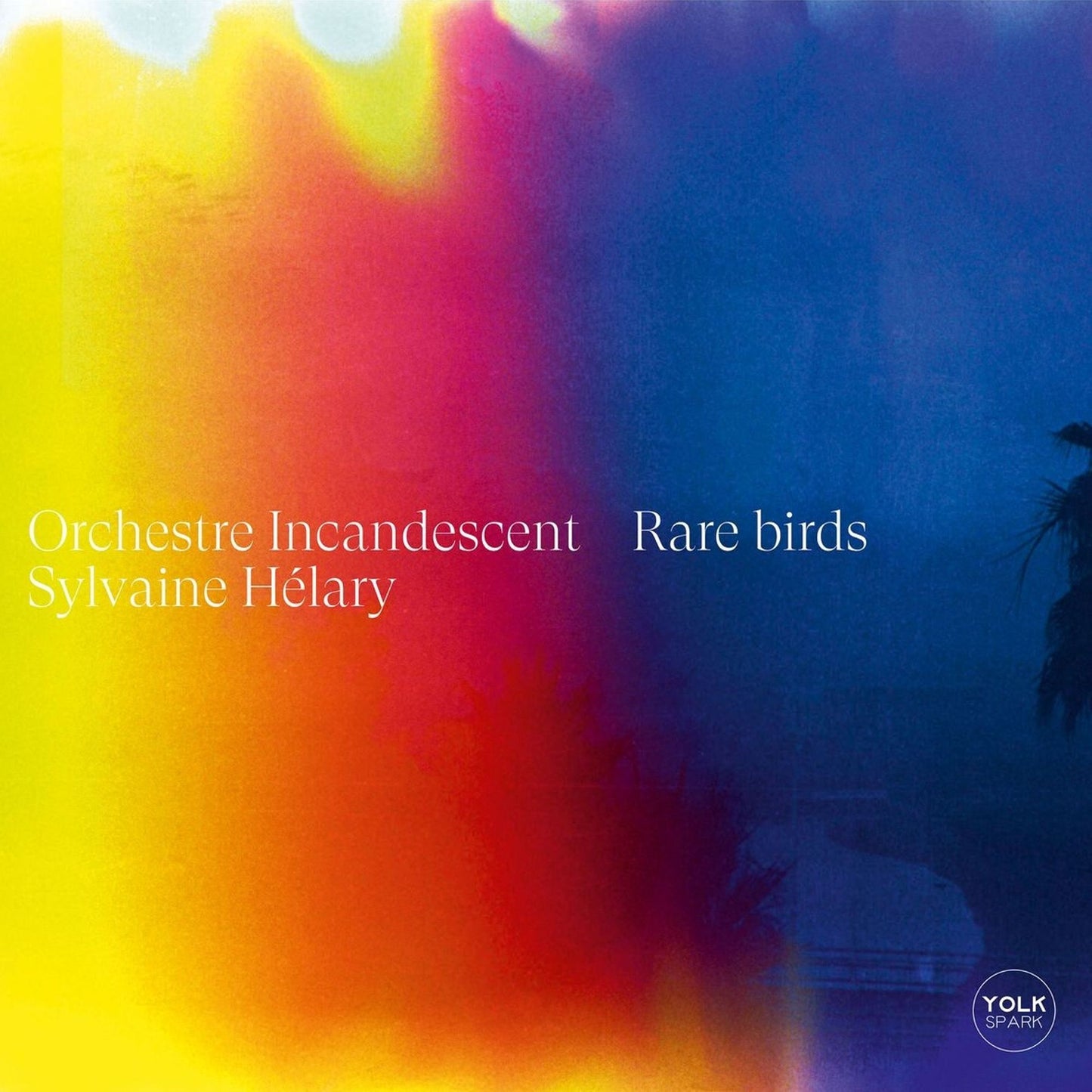 Rare Birds (Sylvaine Helary & Orchestre Incandescent)