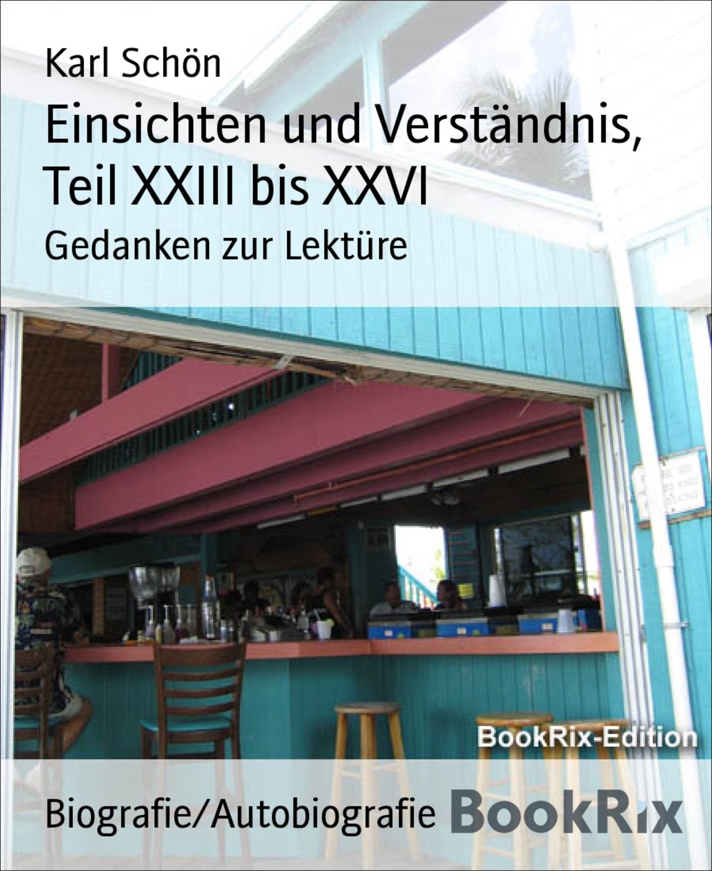 Einsichten und Verständnis, Teil XXIII bis XXVI: Gedanken zur Lektüre