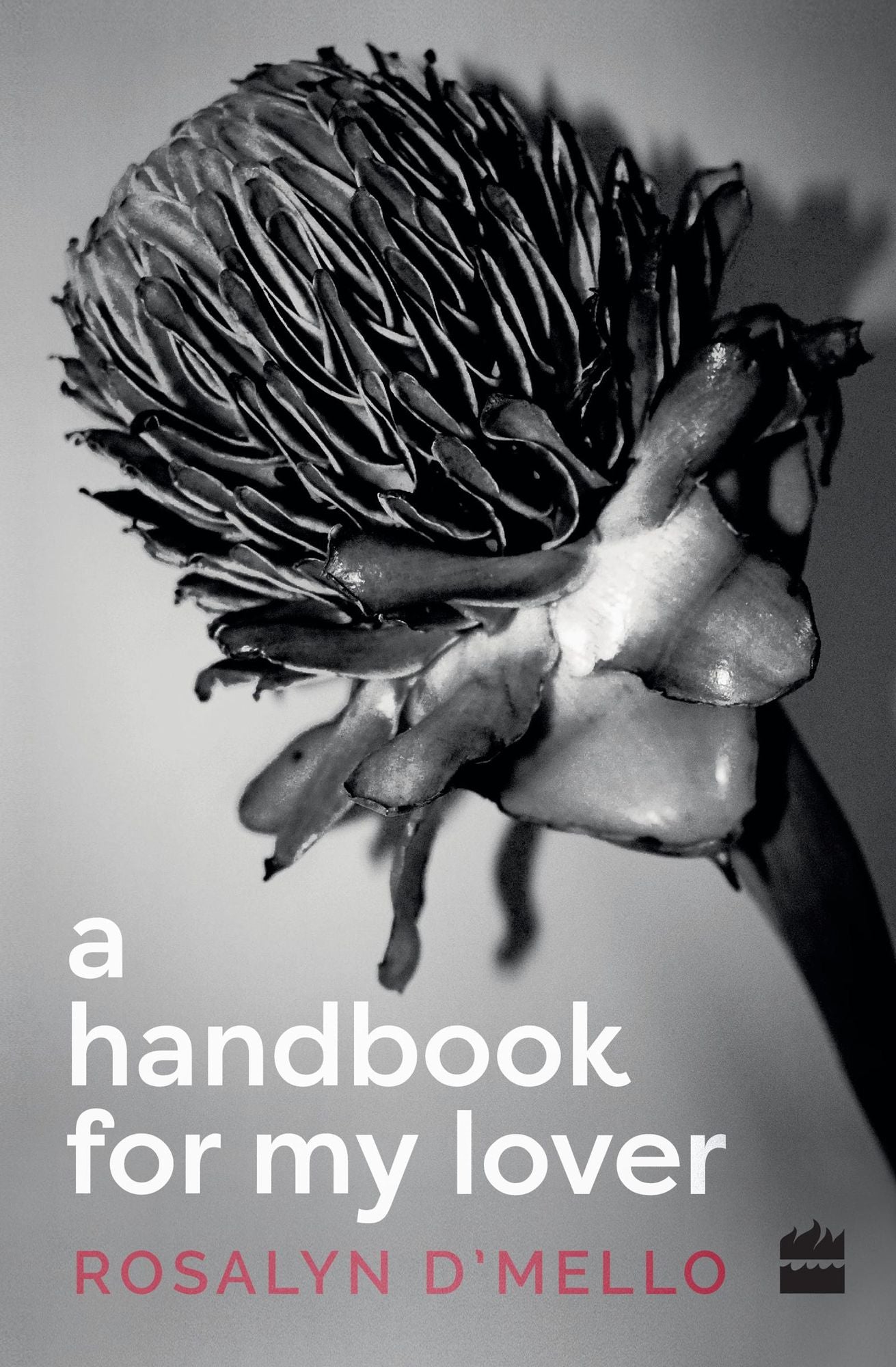 A Handbook For My Lover