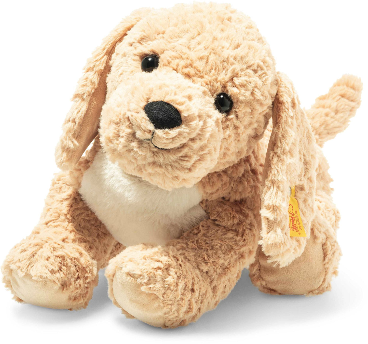 Berno Golden Doodle