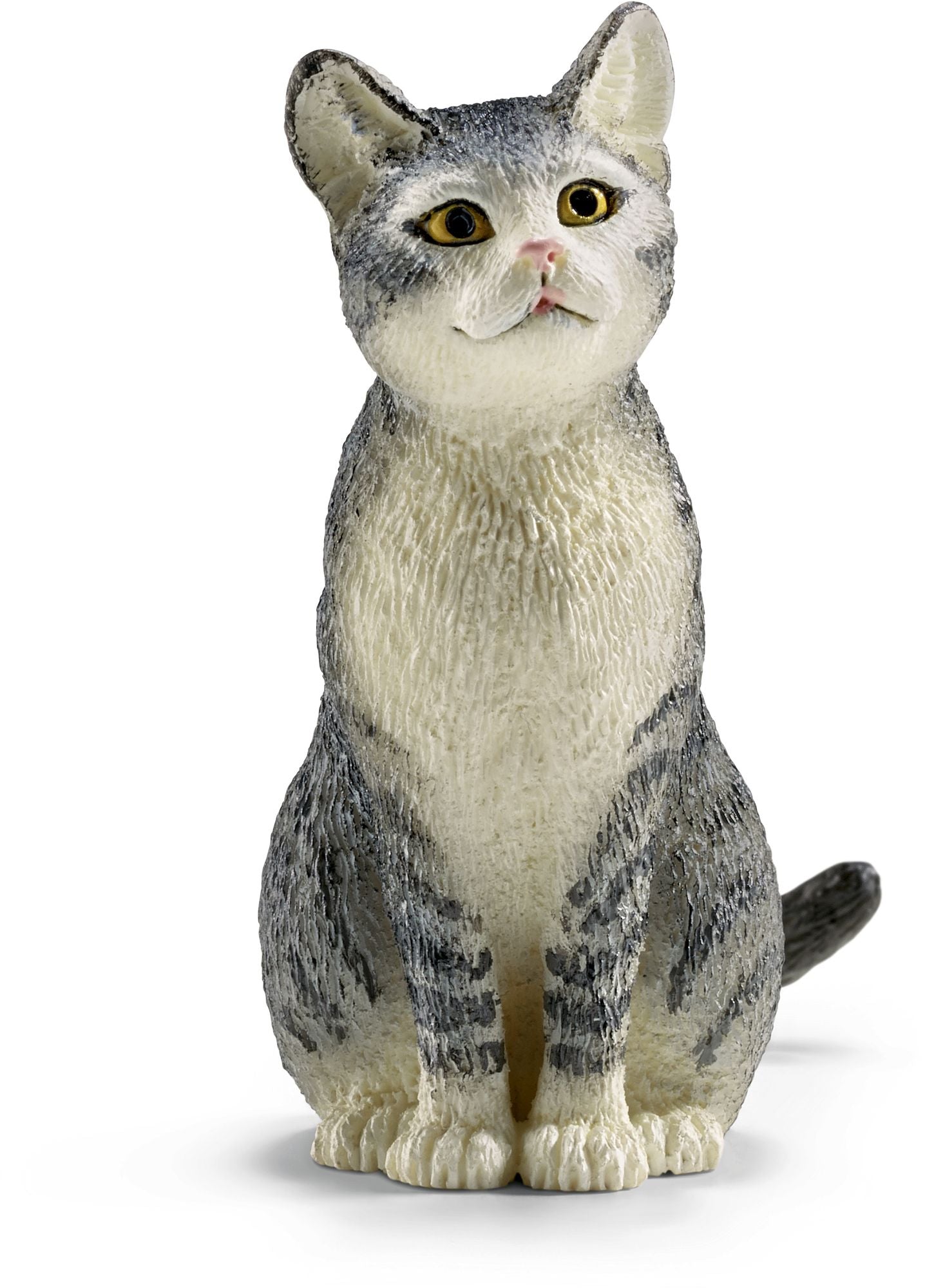 Cat, sitting