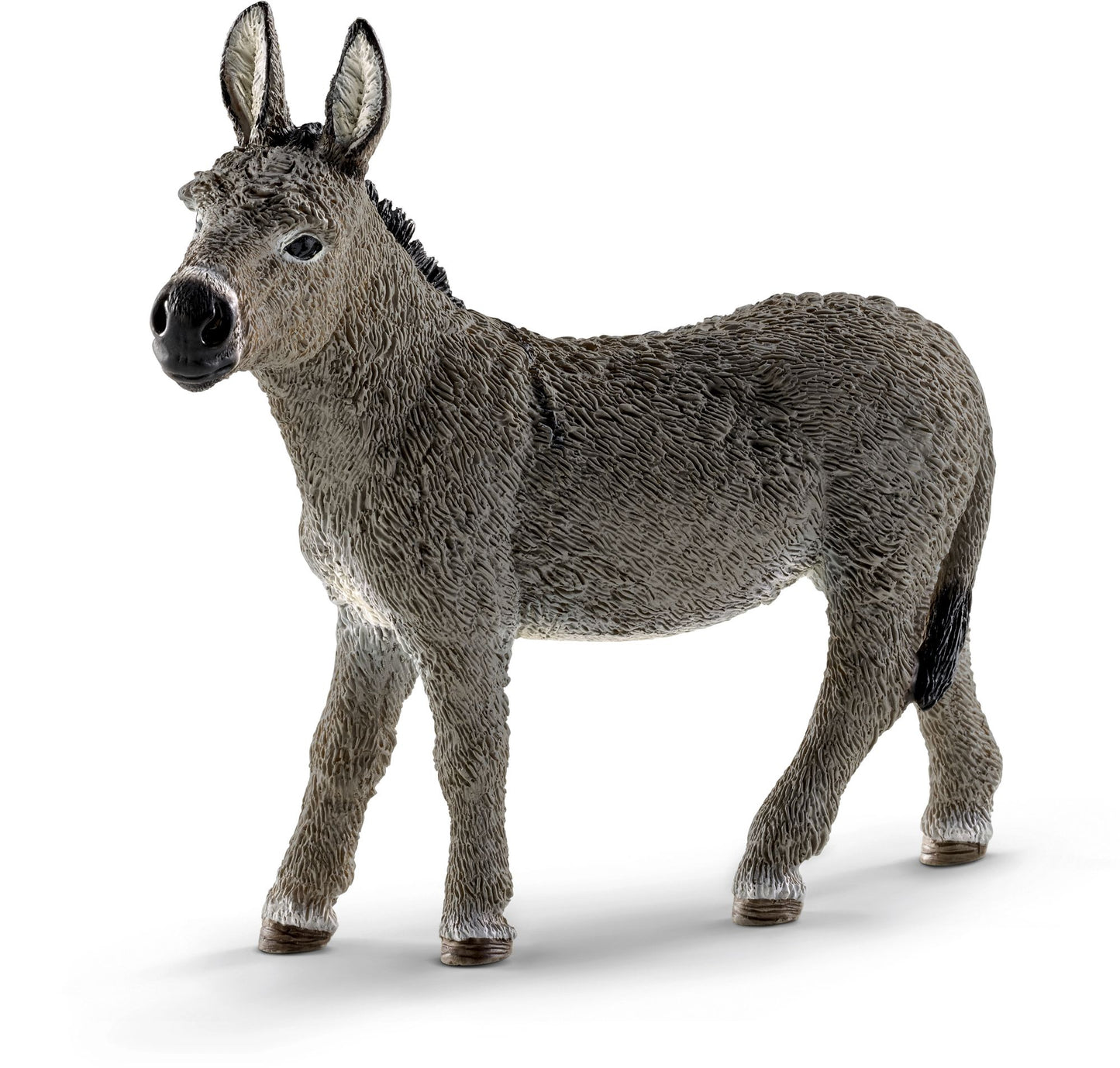 Donkey