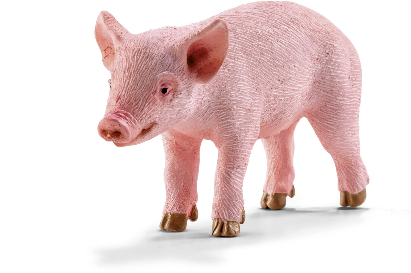 Piglet, standing