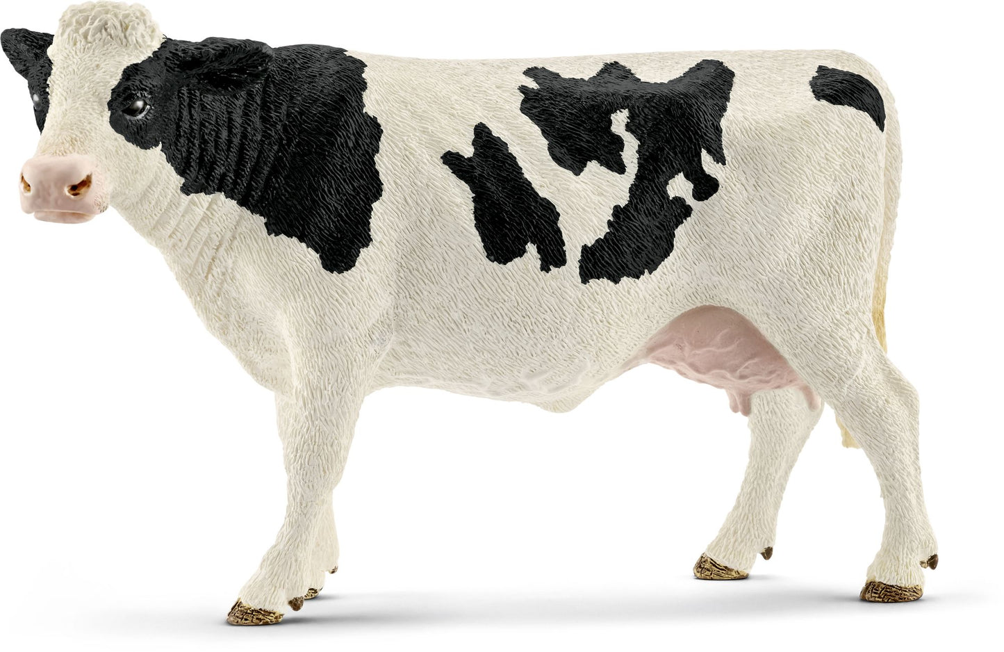 Holstein cow