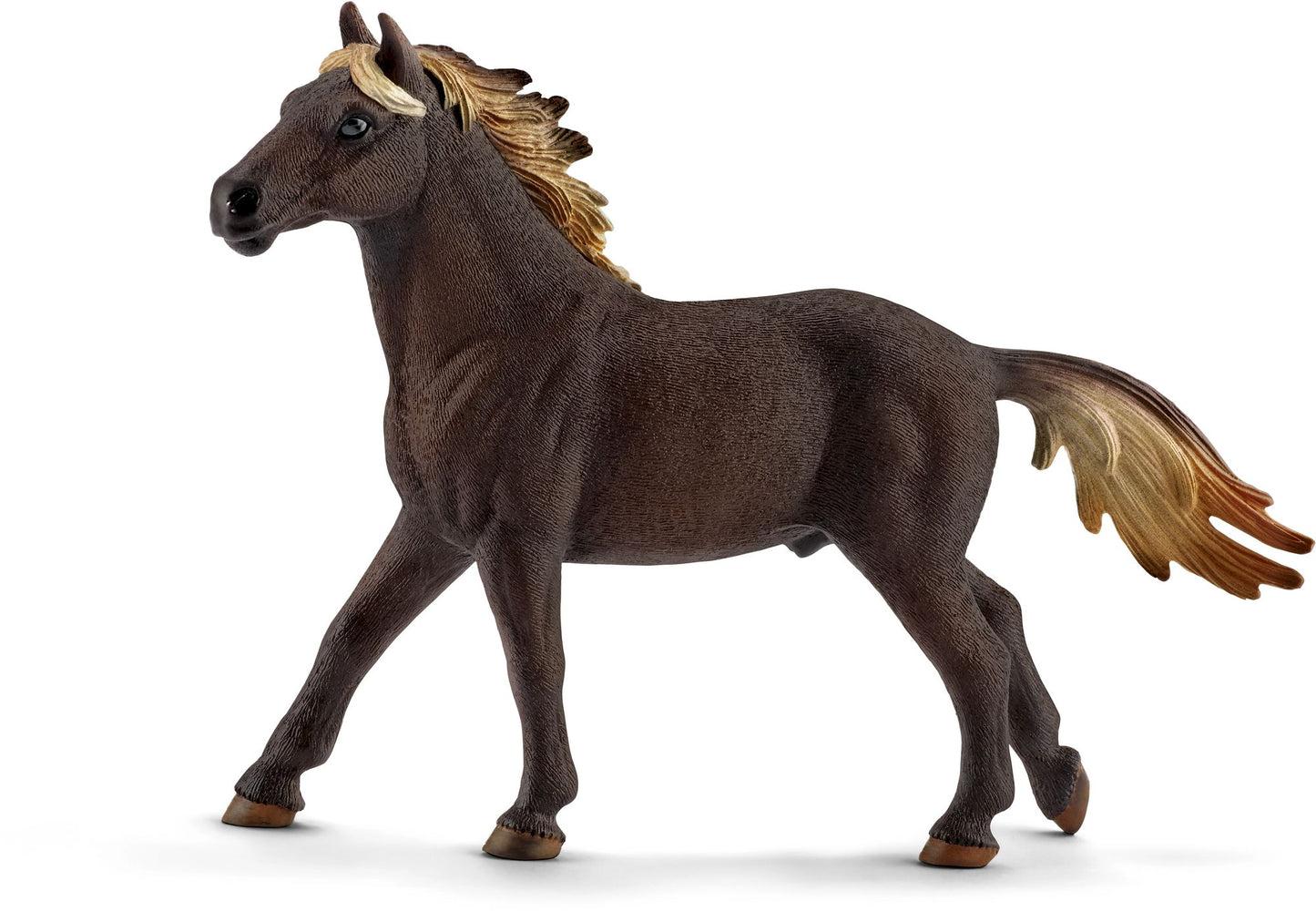 Mustang stallion